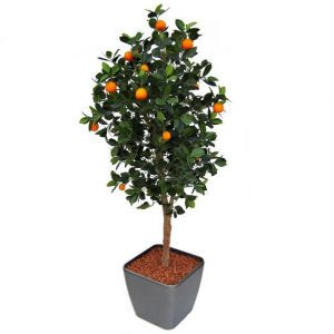 Цитрофортунелла мандарин + Lechuza